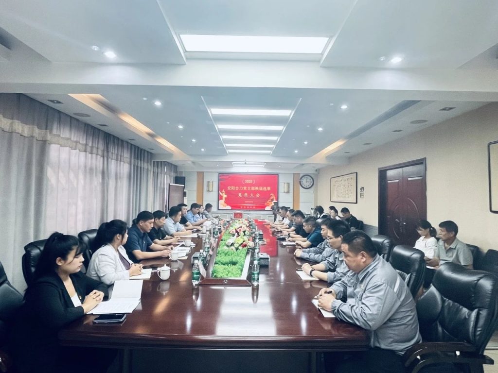 安阳合力公司党支部圆满完成换届选举工作插图